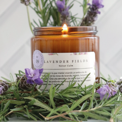 Aromas de hogar (Esencial) - Lavender Fields