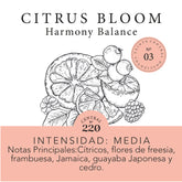 Aromas de hogar (Select) - Citrus Bloom
