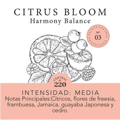 Aromas de hogar (Select) - Citrus Bloom