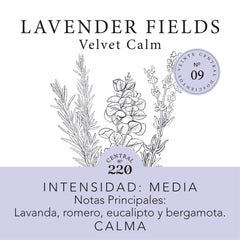 Aromas de hogar (Esencial) - Lavender Fields