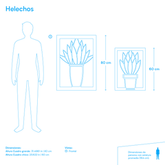 Cuadro de "Helechos"