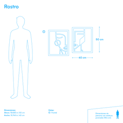 Cuadro de "Rostro"
